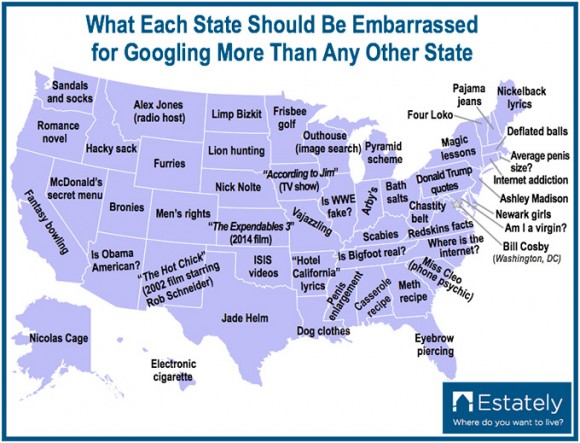 Post image for Unusual Google Searches By State