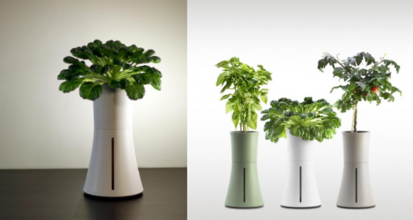 Botanium - Indoor "Gardening" Made Easy 2 botanium indoor herb garden