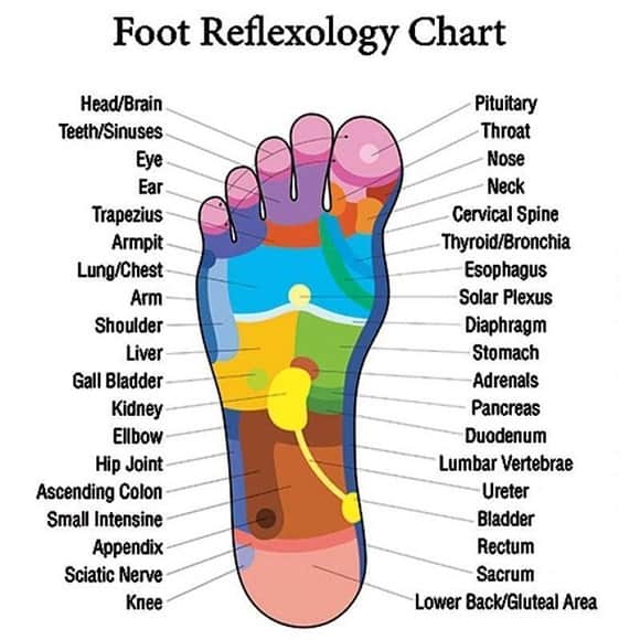 Post image for What Are Acupressure Massage Slippers?