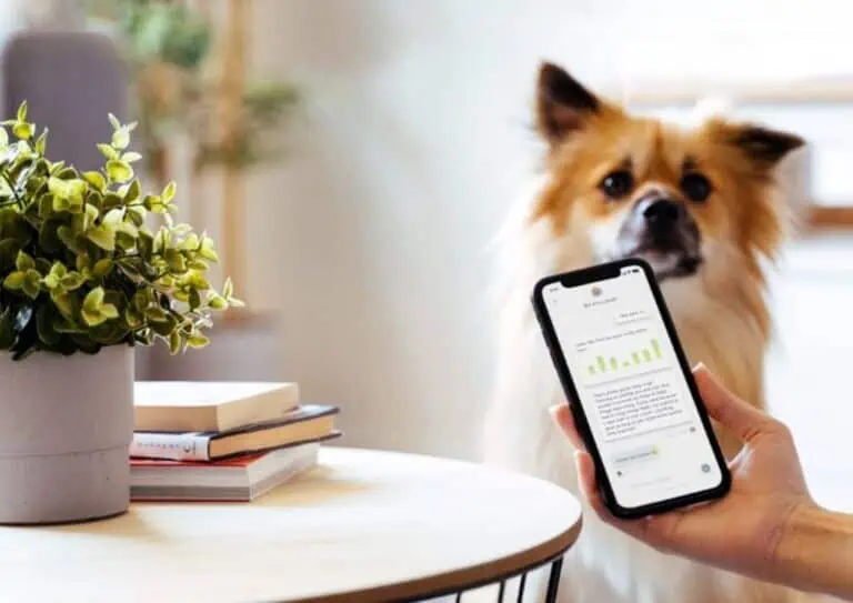 dog gps unit