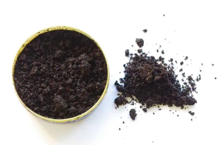 snus tobacco