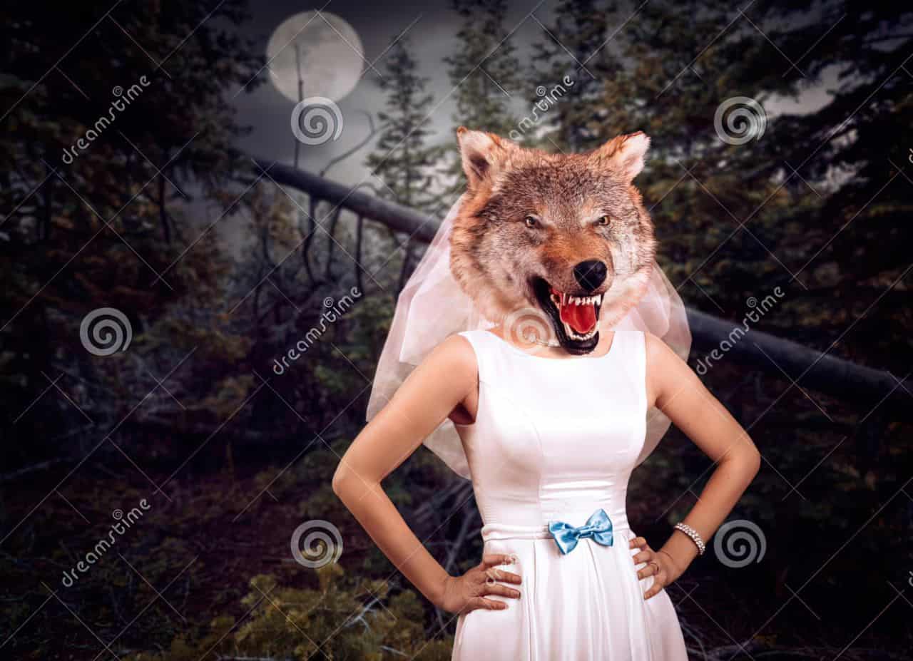 single woman wolf bride-