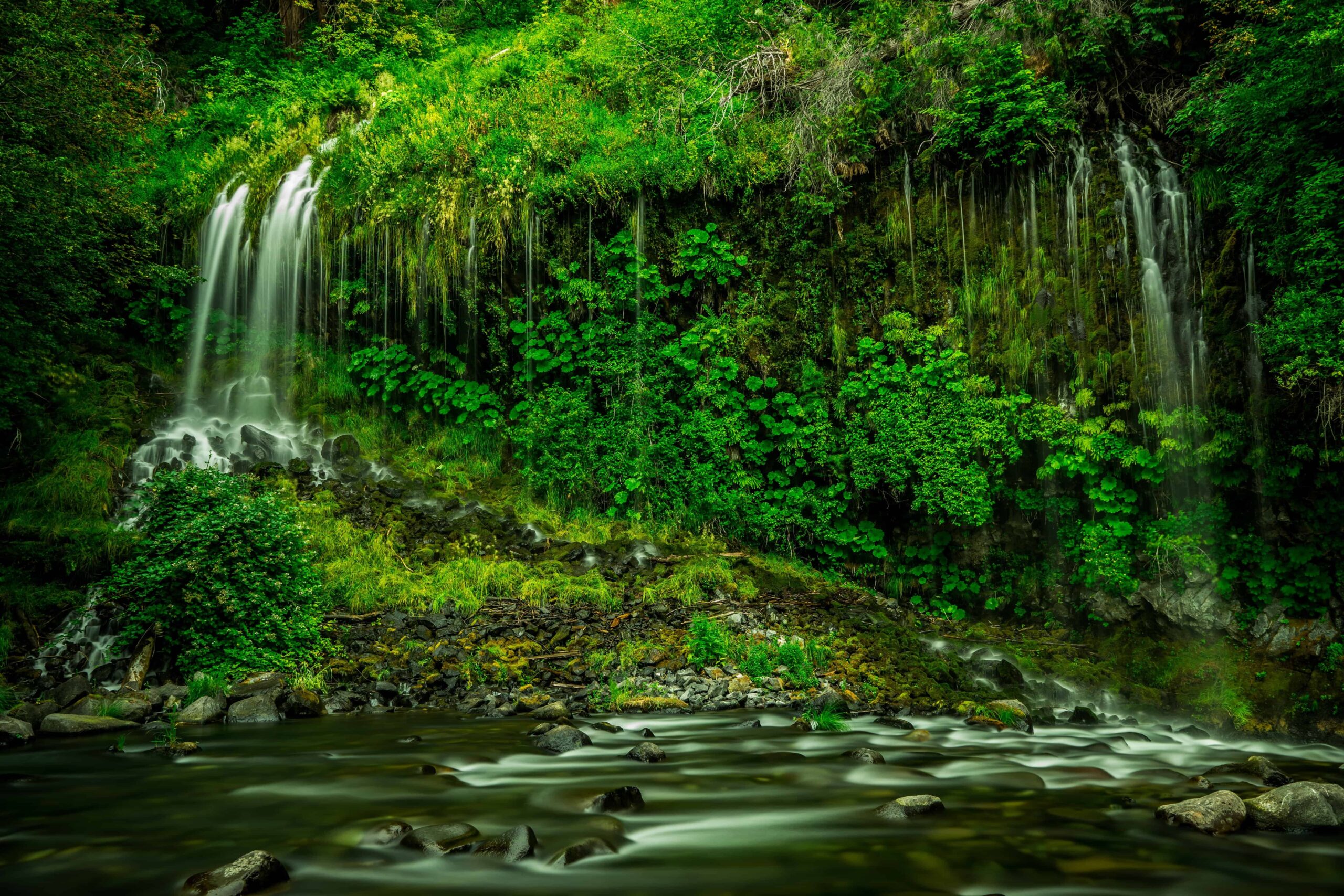 Where Was Jurassic Park Filmed? 2022 Easily Amiable Info 3 Where Was Jurassic Park Filmed?