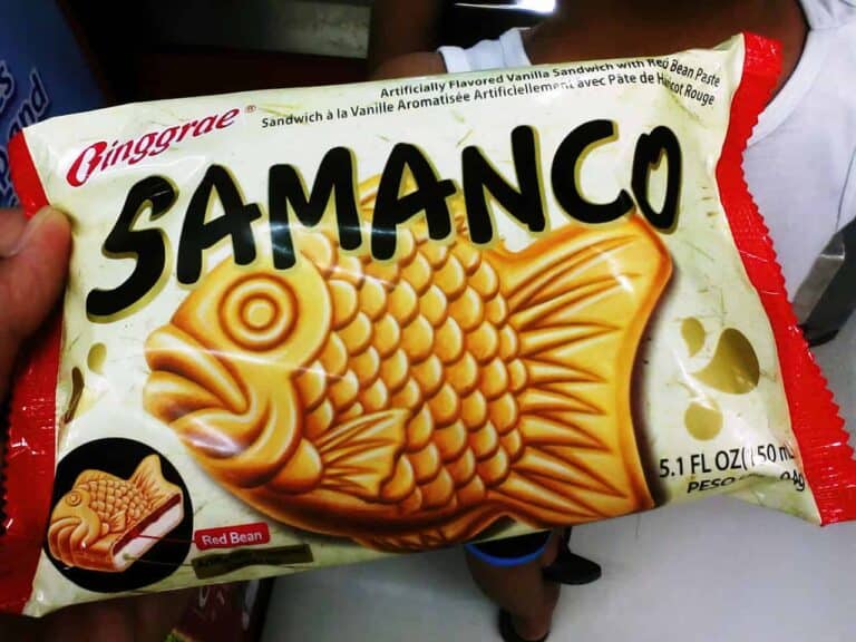 Samanco Fish Ice Cream Review The Delicious FishShaped Ice Cream