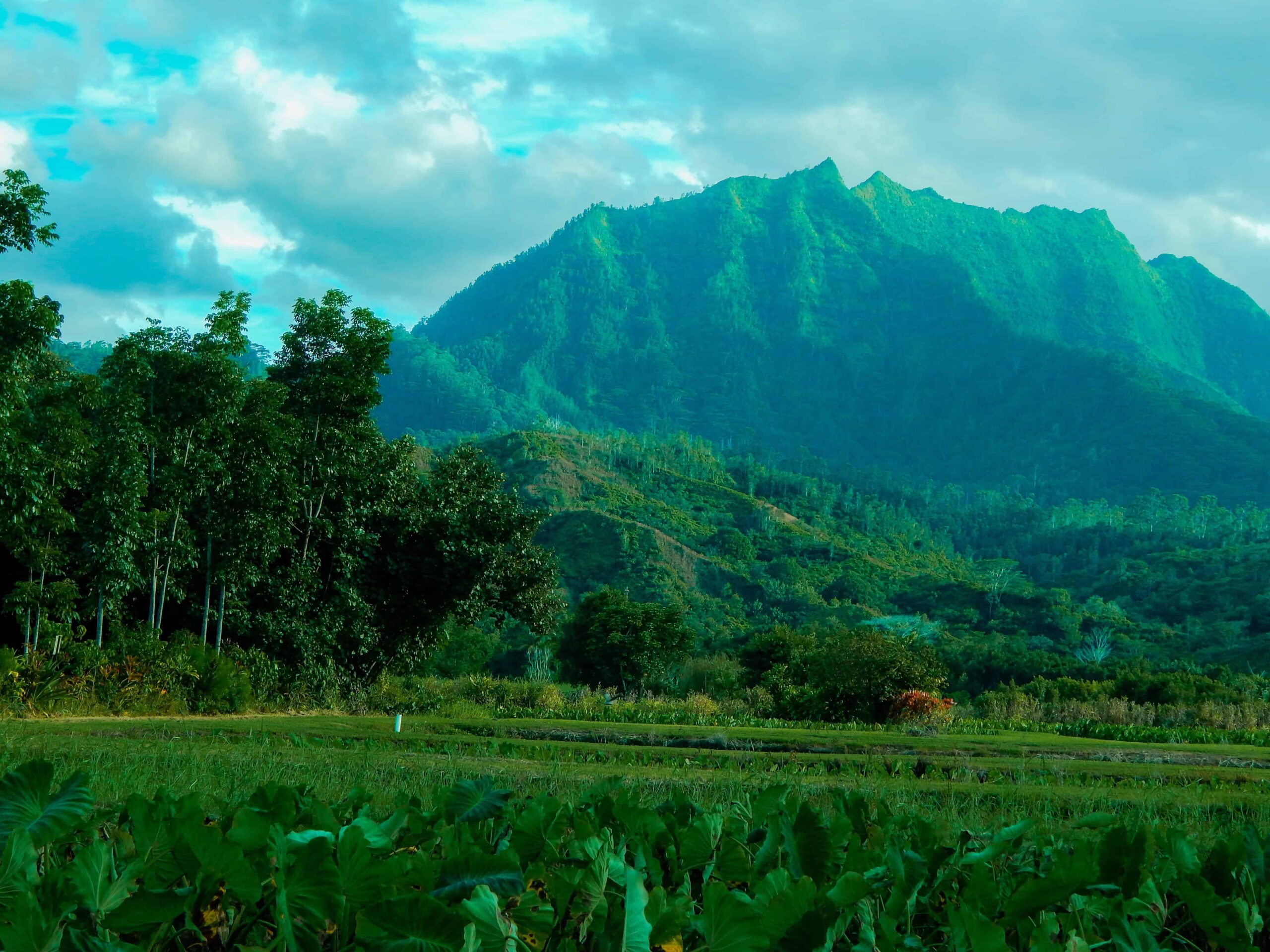 Where Was Jurassic Park Filmed? 2022 Easily Amiable Info 4 Where Was Jurassic Park Filmed?