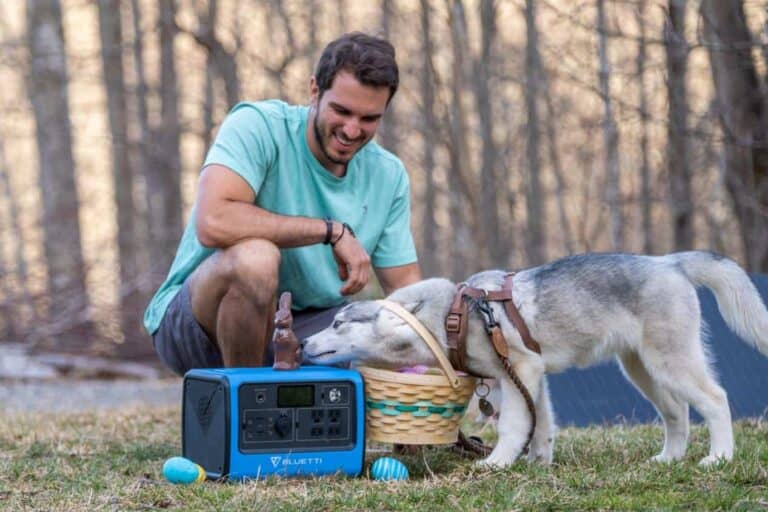 bluetti with dog