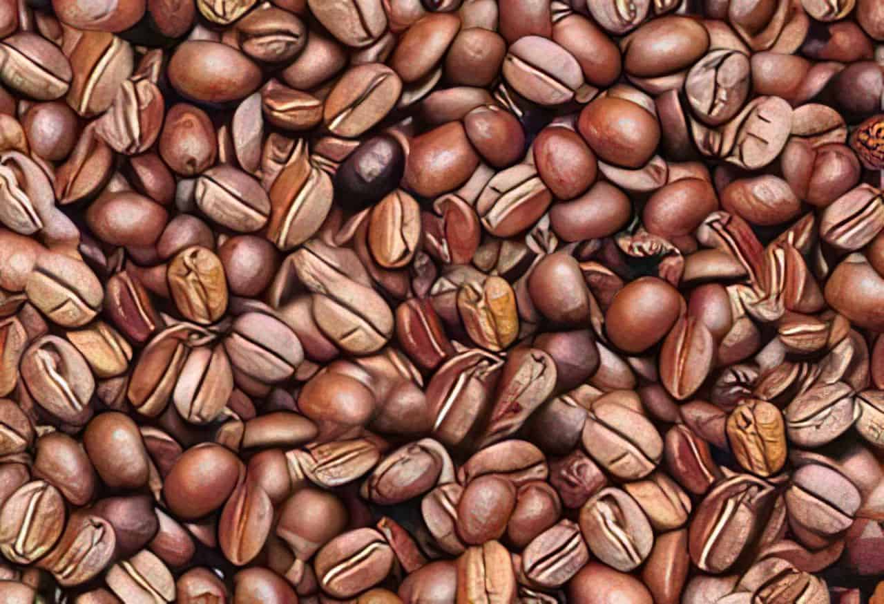 coffee beans illusion