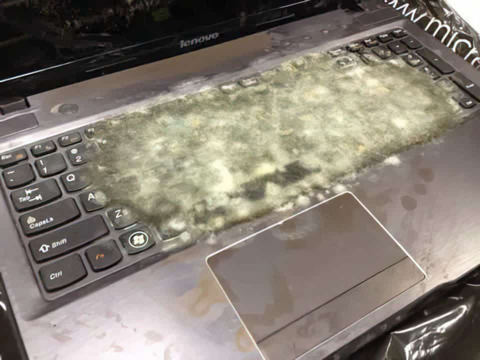muscle milk spilled on keyboard