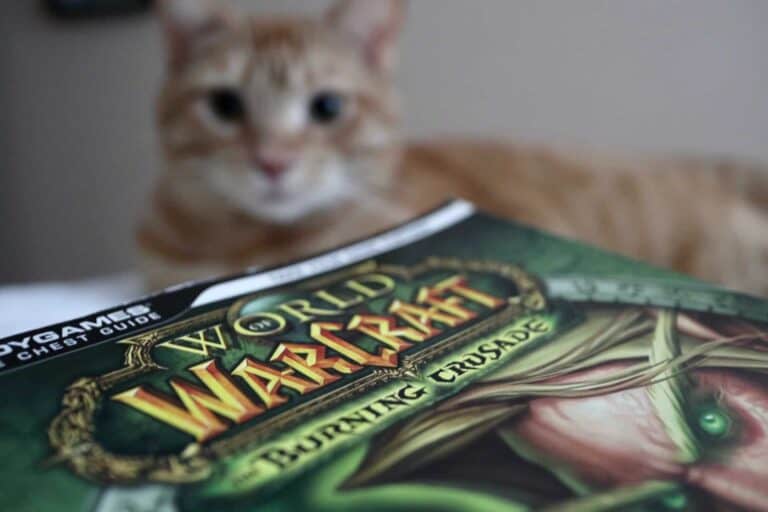 WoW World of Warcraft