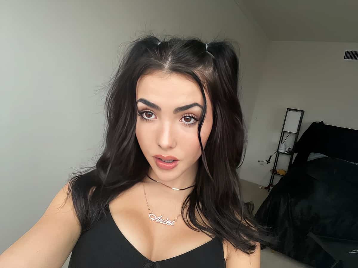 andrea twitch｜TikTok Search