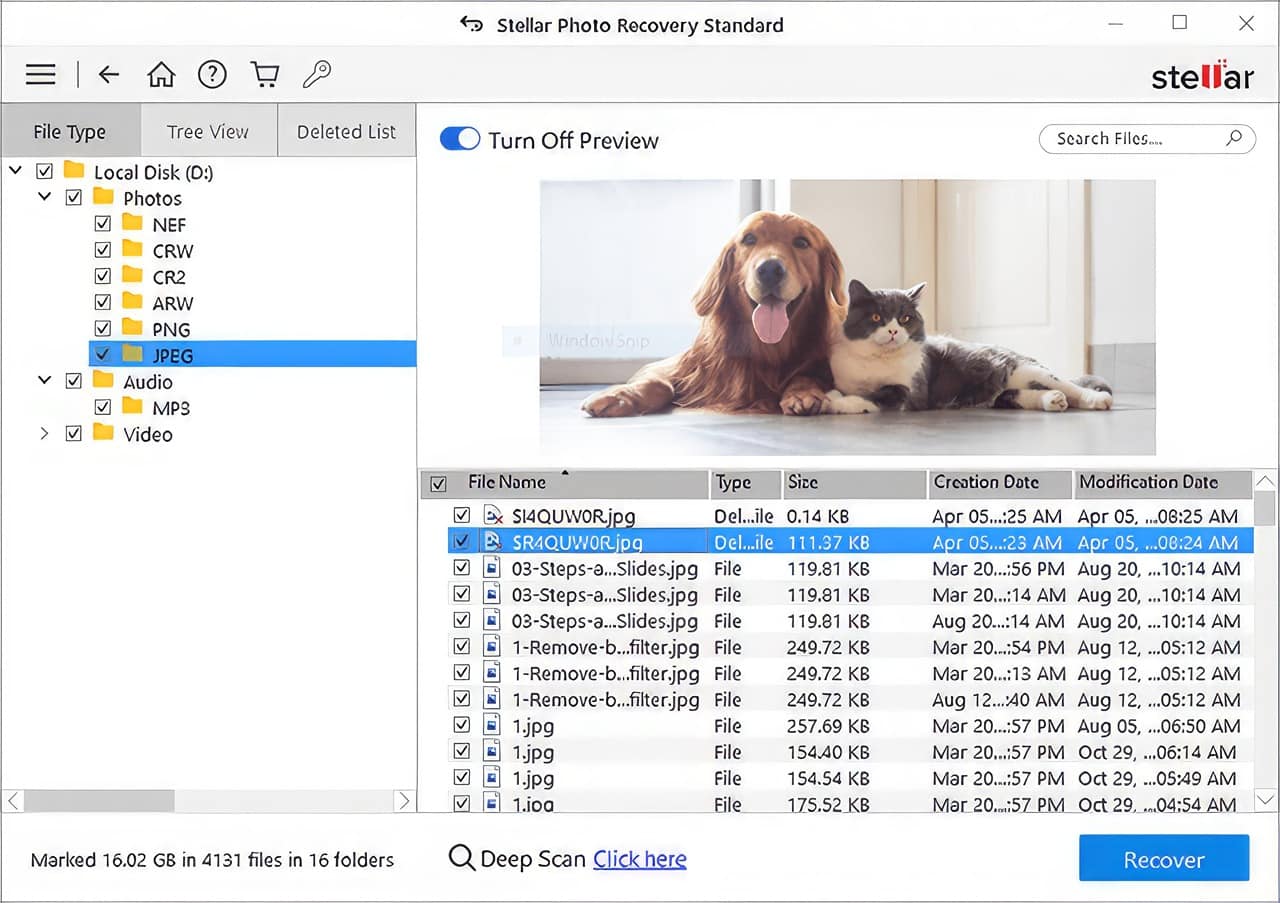 STELLAR Photo Recovery Review: Pros, Cons, And Everything In Between 3 STELLAR PHOTO RECOVERY 2