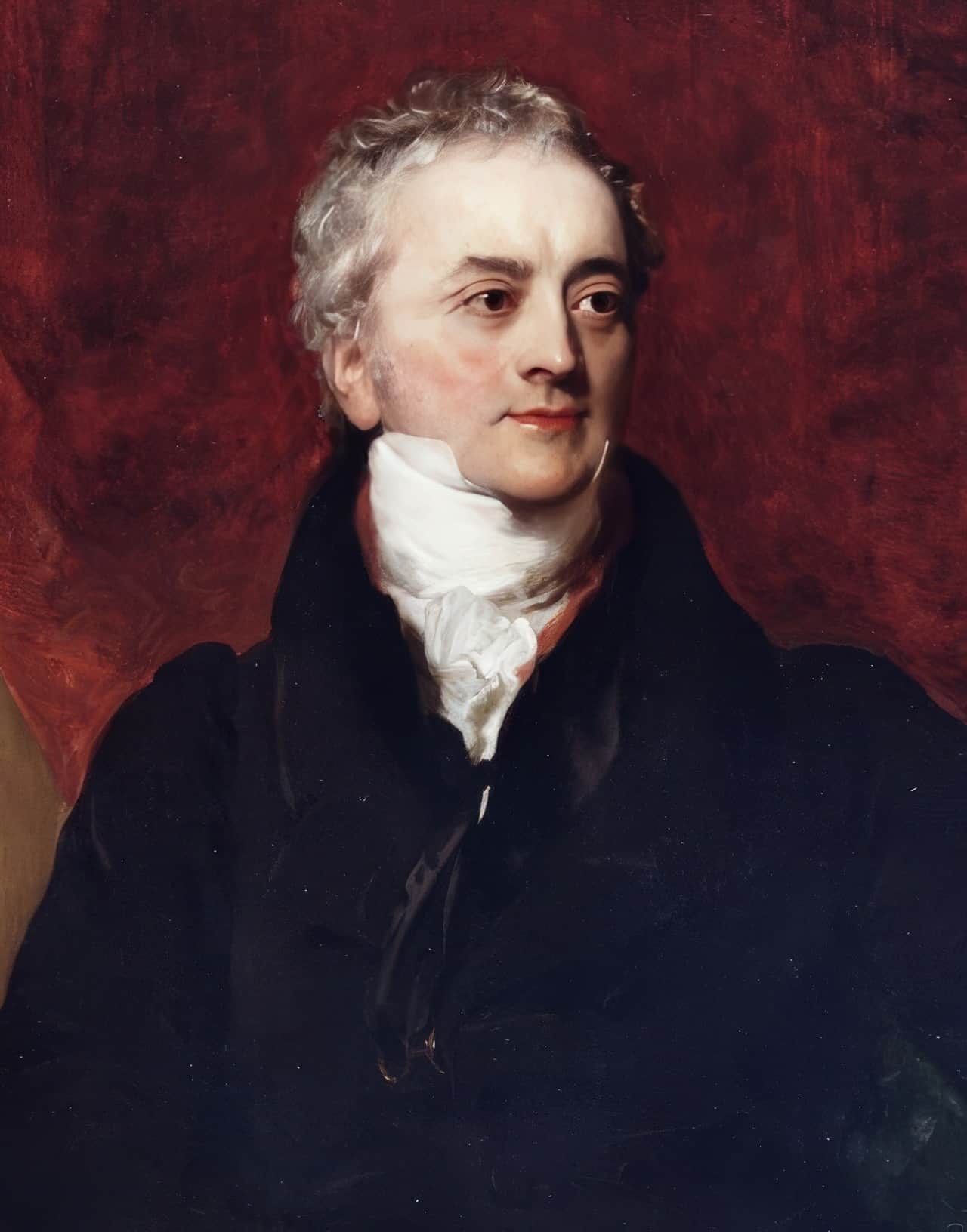 28 People Who Possess The Highest IQ In The World 25 Thomas Young