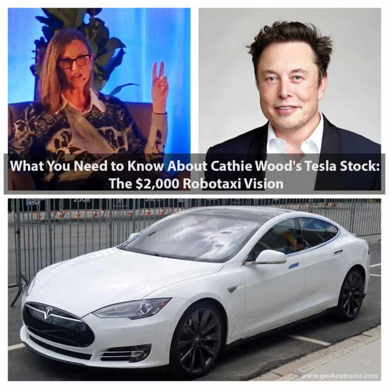 cathie wood tesla stock