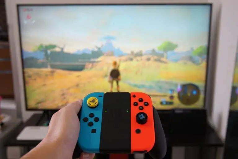 Nintendo Switch Zelda game