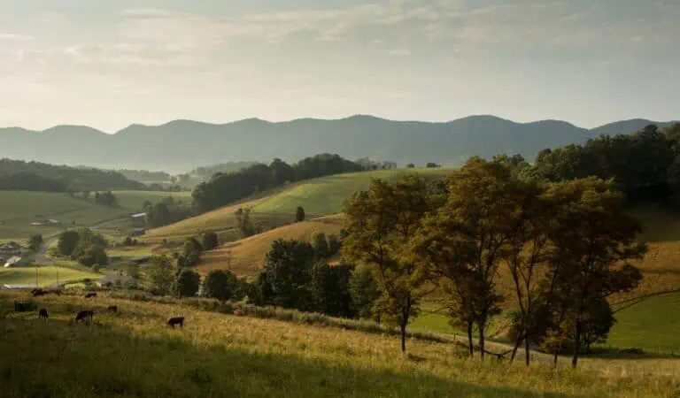 Sterling Virginia hillside farms