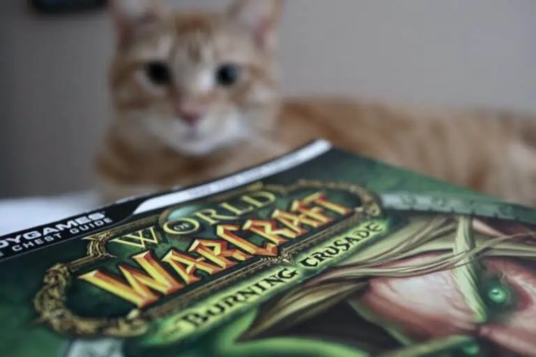 world of warcraft WOW and cat