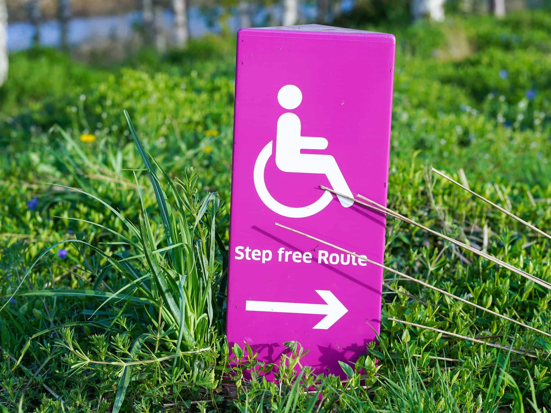 What Are the Requirements for ADA Compliance? 2 pink handicap sign in grass