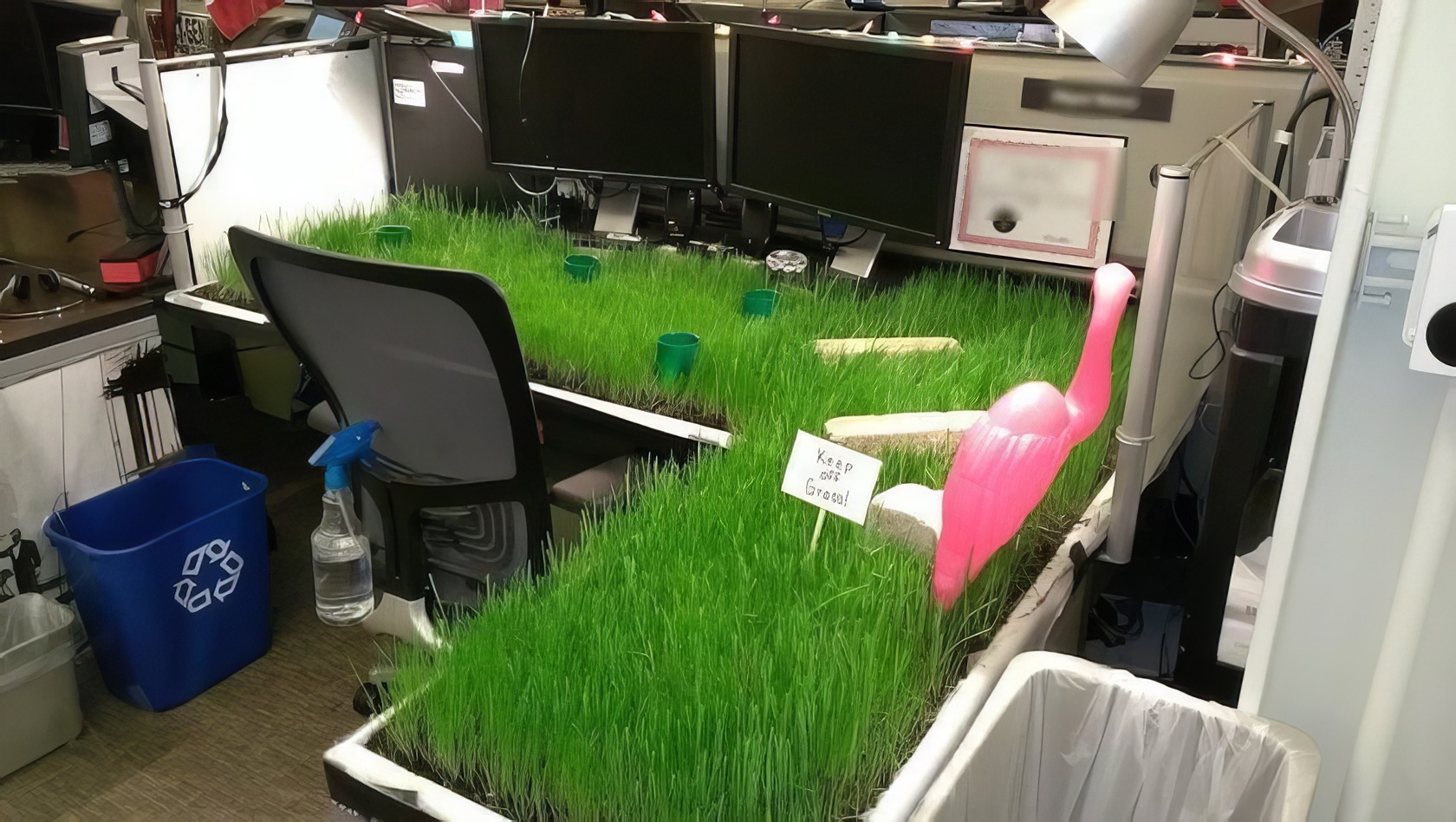 17 Office Pranks That Won't Get You Fired (Probably) 11 funny office pranks 10