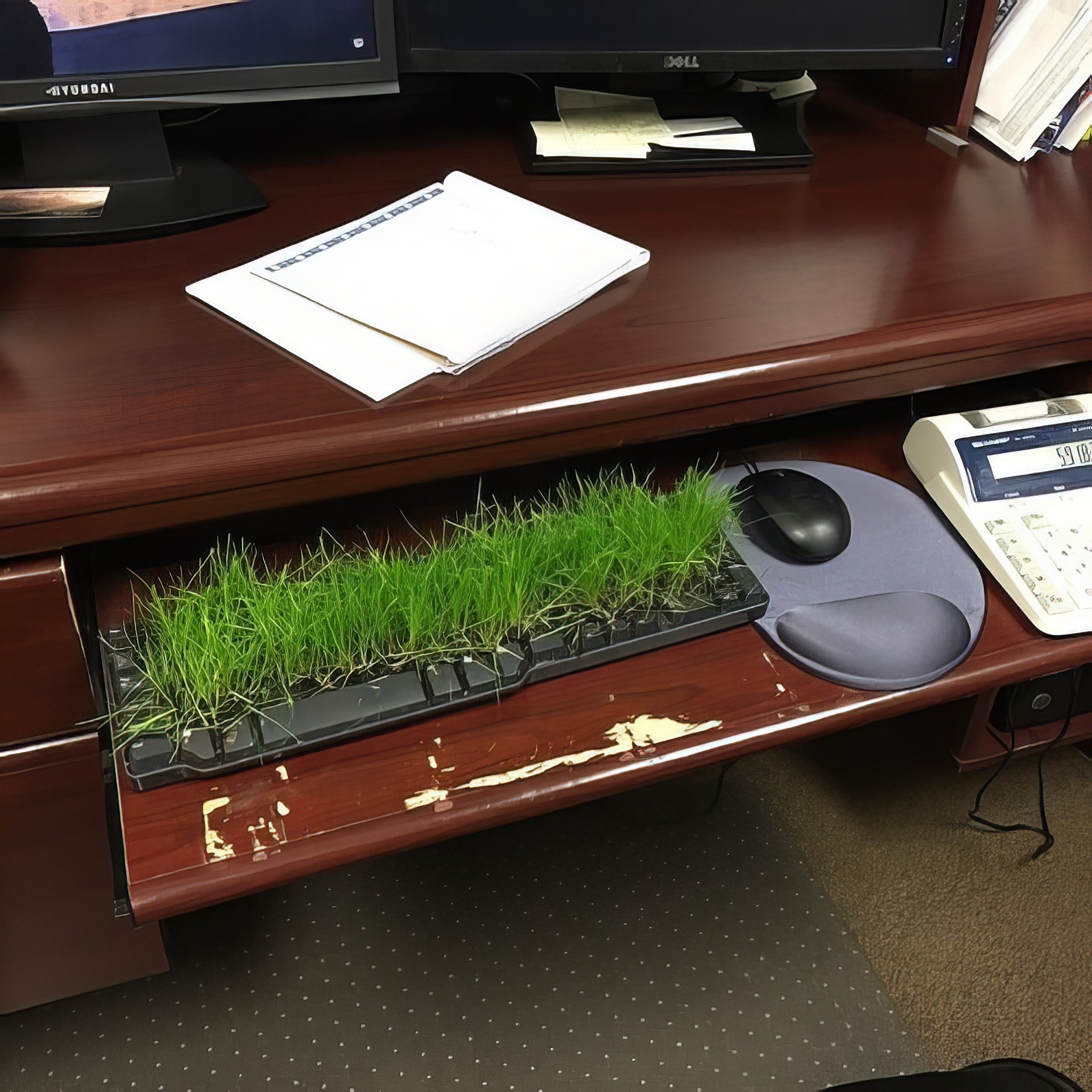 17 Office Pranks That Won't Get You Fired (Probably) 3 funny office pranks 2
