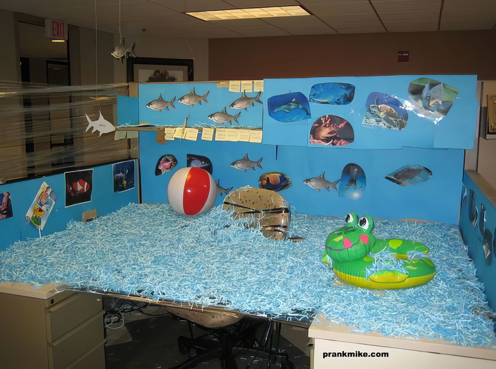 17 Office Pranks That Won't Get You Fired (Probably) 8 funny office pranks 7