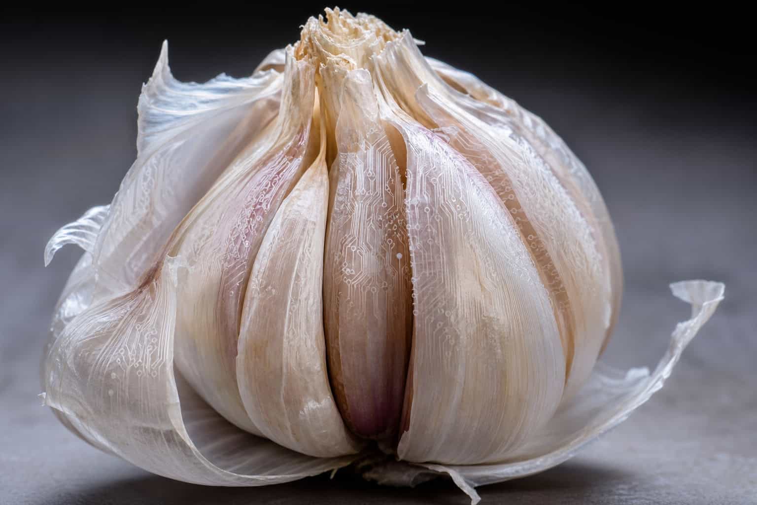 I2P garlic routing bundling multiple cloves into a single encrypted message