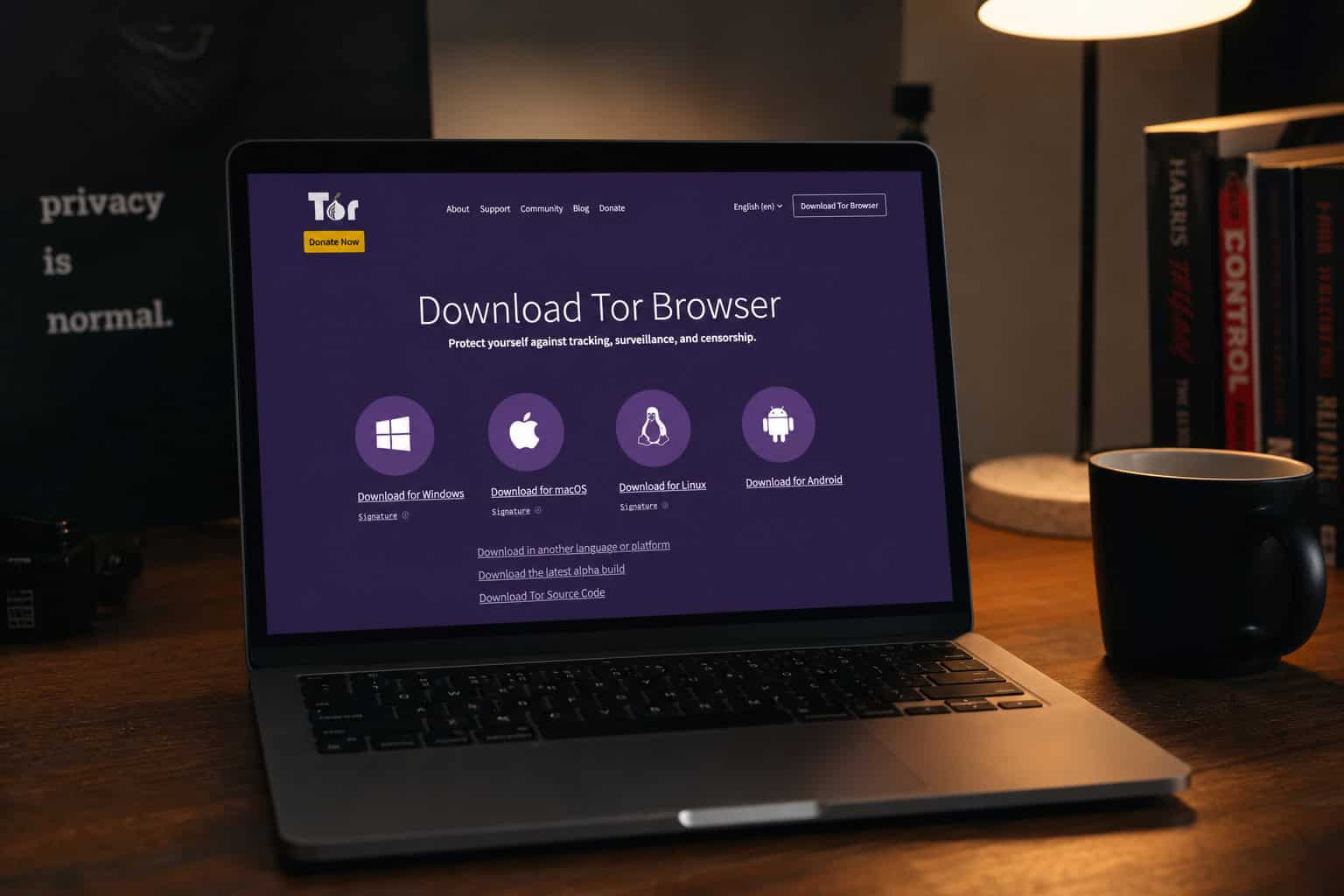Tor Browser download on a laptop illustrating that Tor is legal software in the United States.